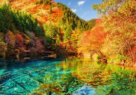 Jiuzhaigou Natural Reserve