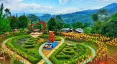 Barusen Hills Ciwidey