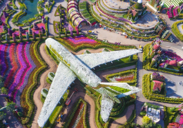 Miracle Garden Dubai