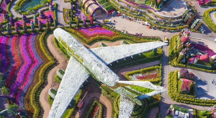 Miracle Garden Dubai