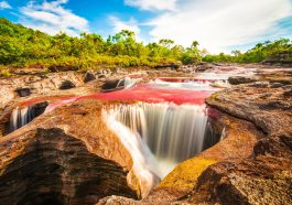 Cano Cristales