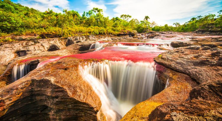 Cano Cristales